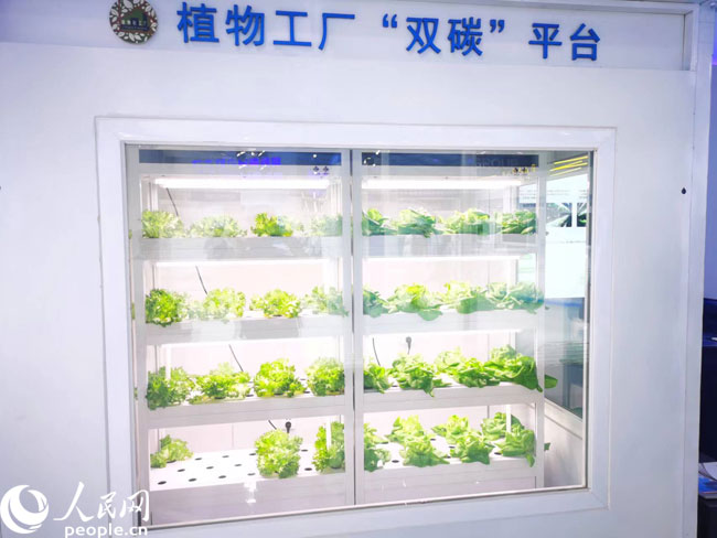 財經觀察 激發創新源頭活力，科技賦能數字內容，讓生活更精彩